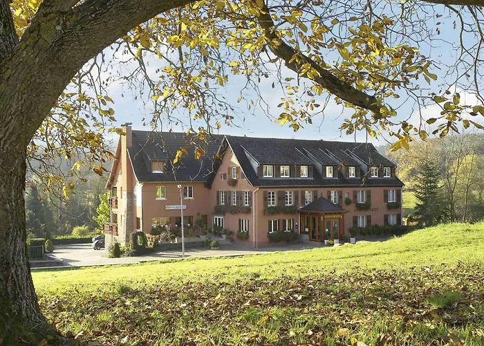 Hotel Restaurant Des Vosges